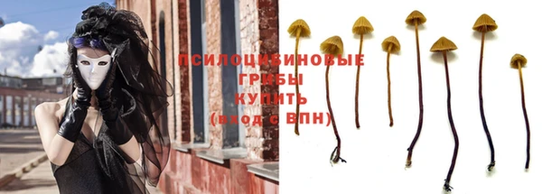 эйфоретик Балахна